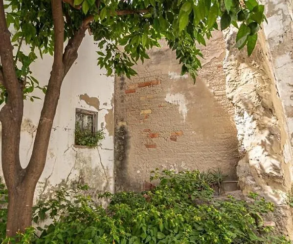 La Casa De Arcos - Casco Historico - Parking Opcional ヘレス