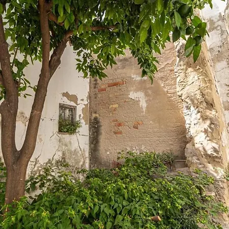 La Casa De Arcos - Casco Historico - Parking Opcional Херес-де-ла-Фронтера